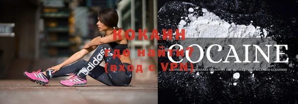 дурь Вяземский