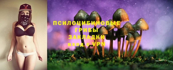 дурь Вяземский