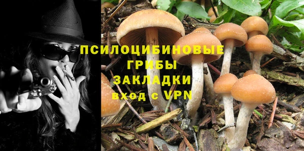 дурь Вяземский