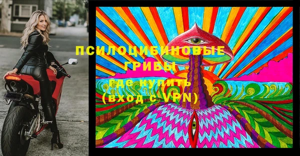 соль ск Вязьма