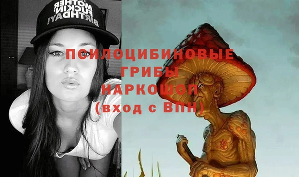 соль ск Вязьма