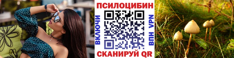 Купить закладки Светлый Галлюциногенные грибы ЛСД
