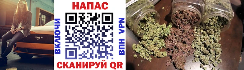 Купить закладки  Светлый  Бошки Шишки SATIVA & INDICA 